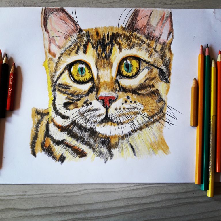 Faça um desenho de gato no modo realista passo a passo fácil