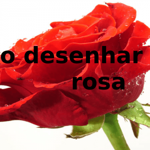 Aprenda como desenhar uma rosa de um jeito fácil e descomplicado.